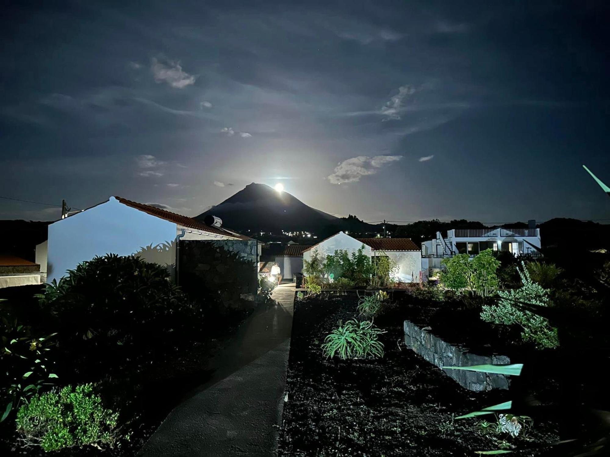 Casas Do Verdelho Madalena  Bagian luar foto