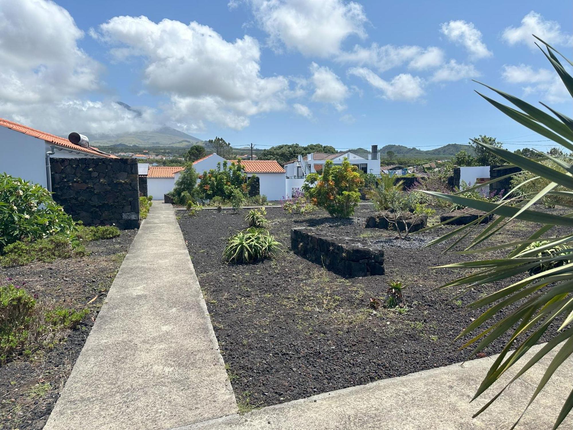 Casas Do Verdelho Madalena  Bagian luar foto
